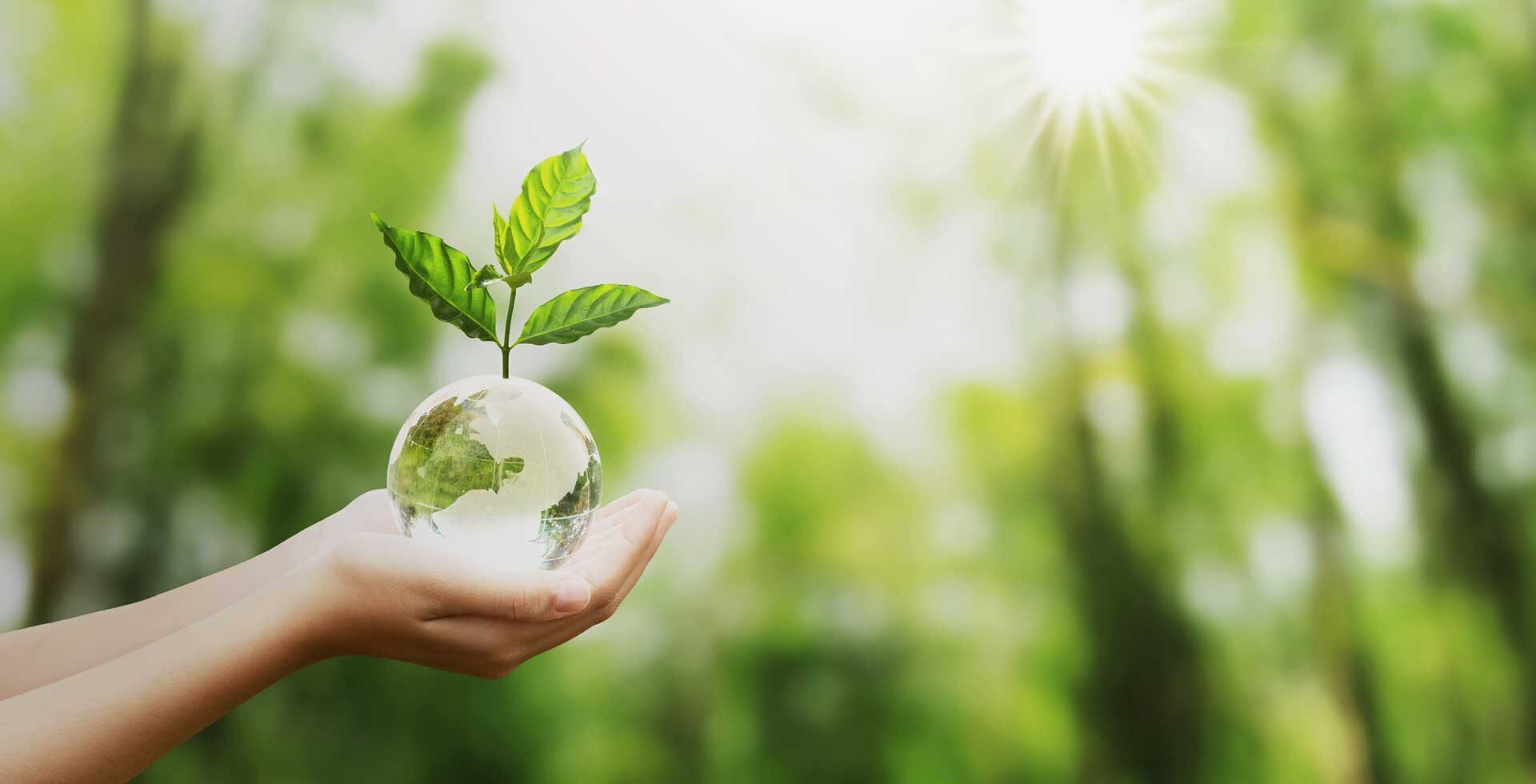 Nature Based Design – Videregående